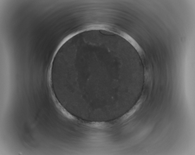 X0000116121052200911231211