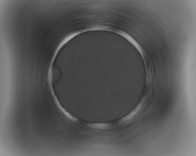 X0000116121053200911231211