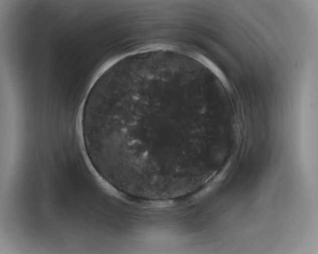 X0000116121055200911231211