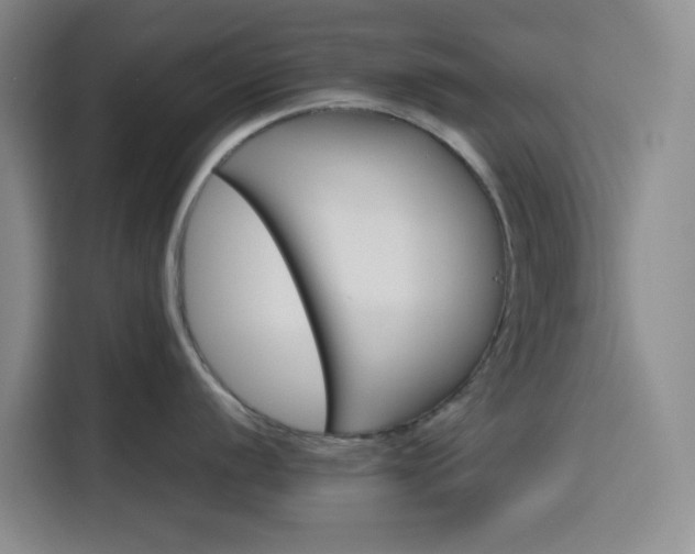 X0000116121056200911231211