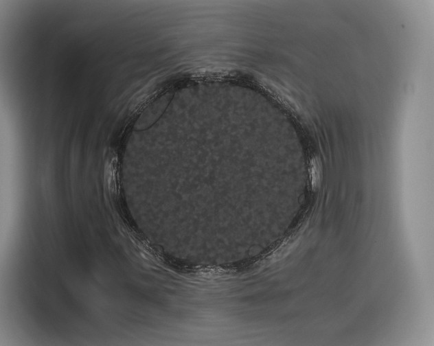 X0000116121059200911231210