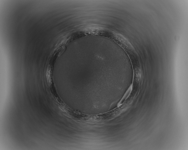 X0000116121060200911231210