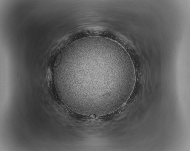 X0000116121061200911231210