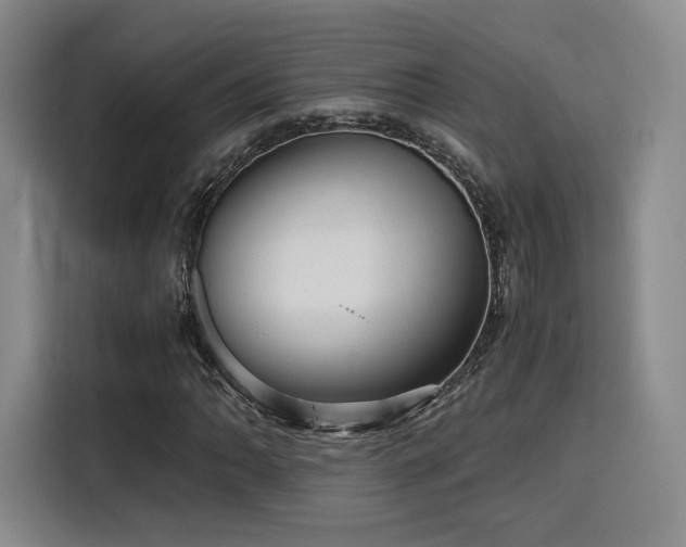 X0000116121062200911231210