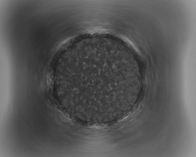 X0000116121063200911231210