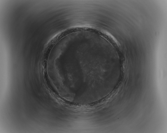 X0000116121064200911231210