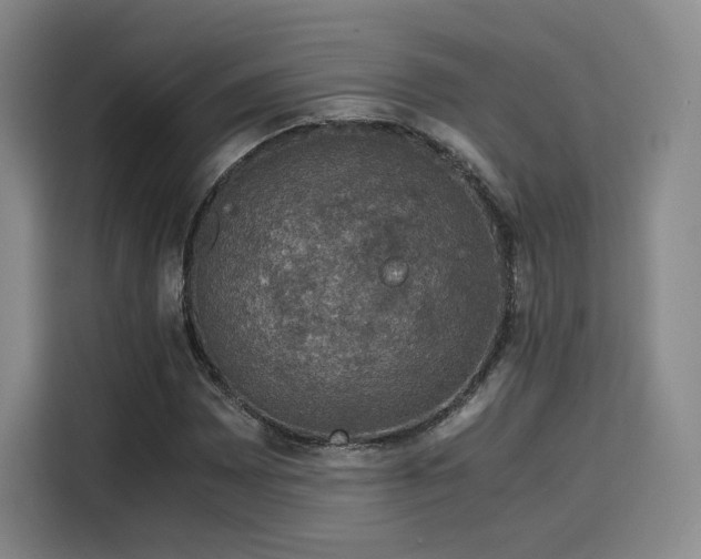 X0000116121065200911231210