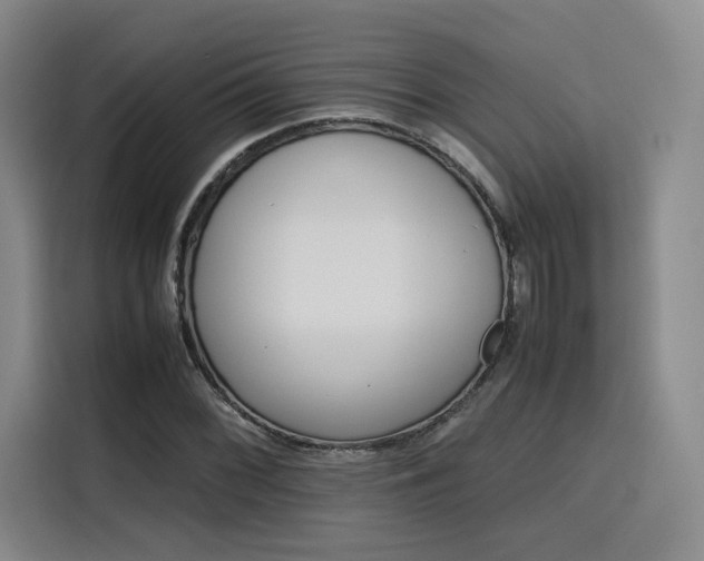 X0000116121068200911231210