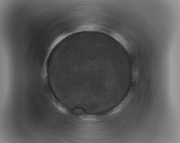 X0000116121070200911231210