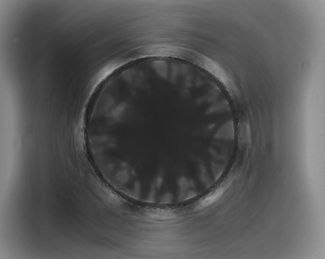 X0000116121071200911231210