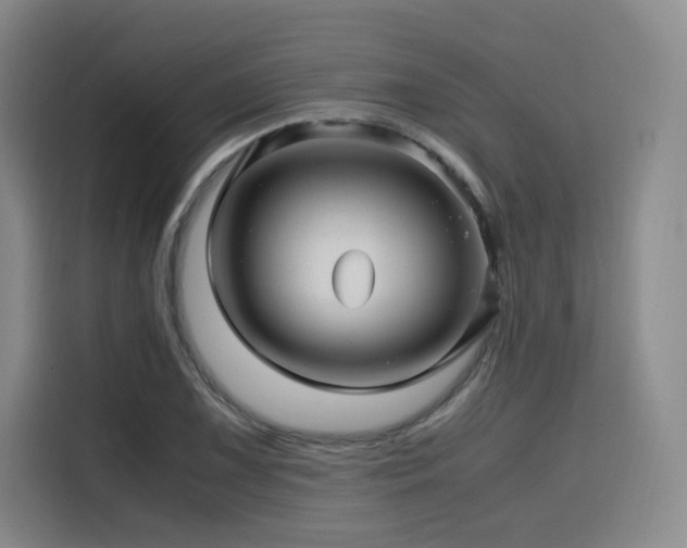 X0000116121075200911231210