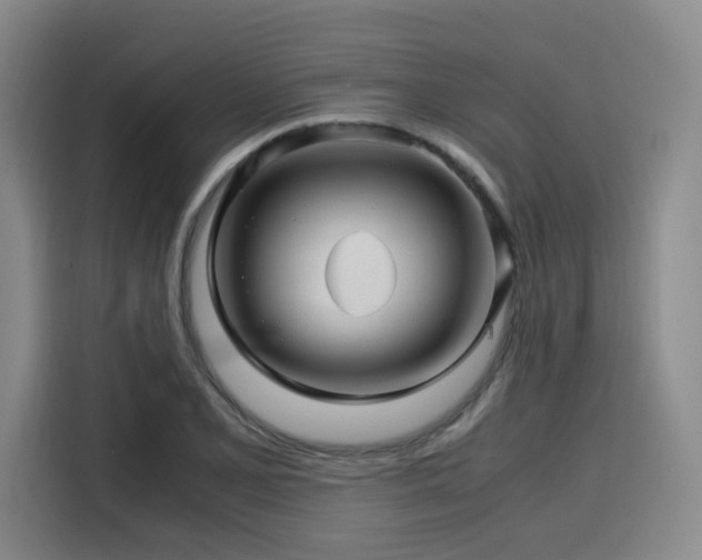 X0000116121077200911231210