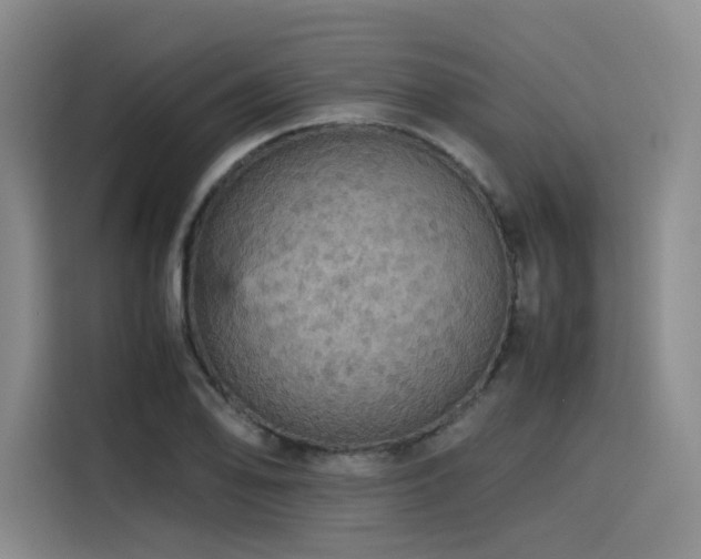 X0000116121078200911231210