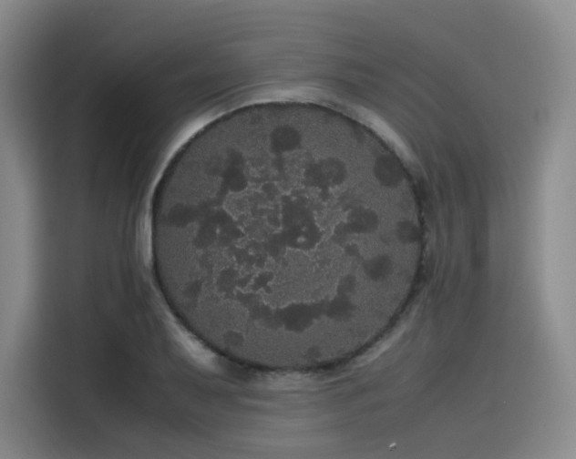 X0000116121079200911231210