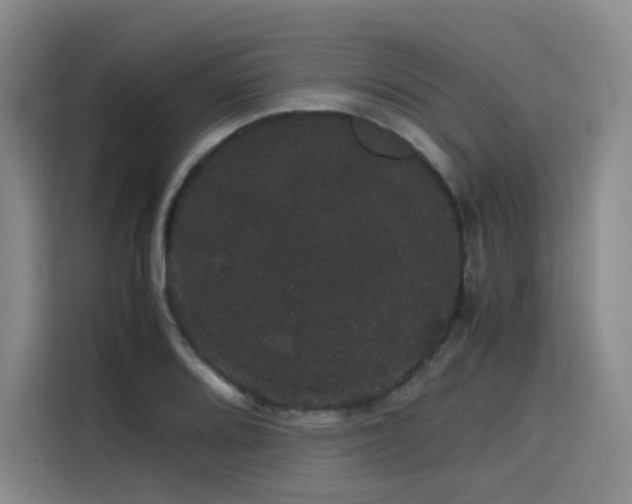 X0000116121080200911231210