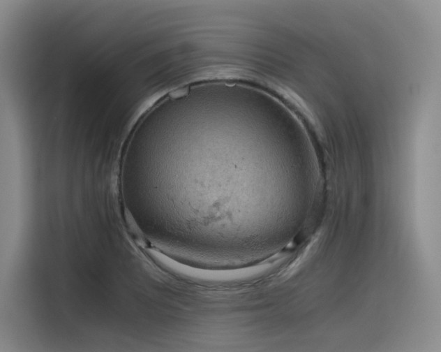 X0000116121081200911231210