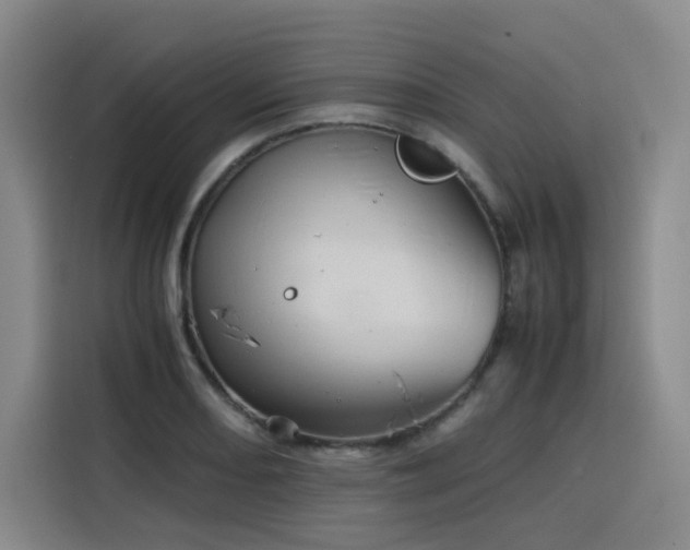 X0000116121082200911231210