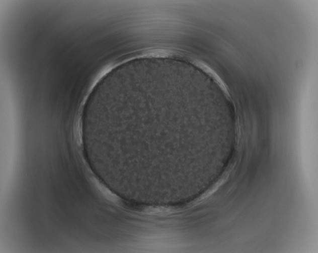 X0000116121083200911231210