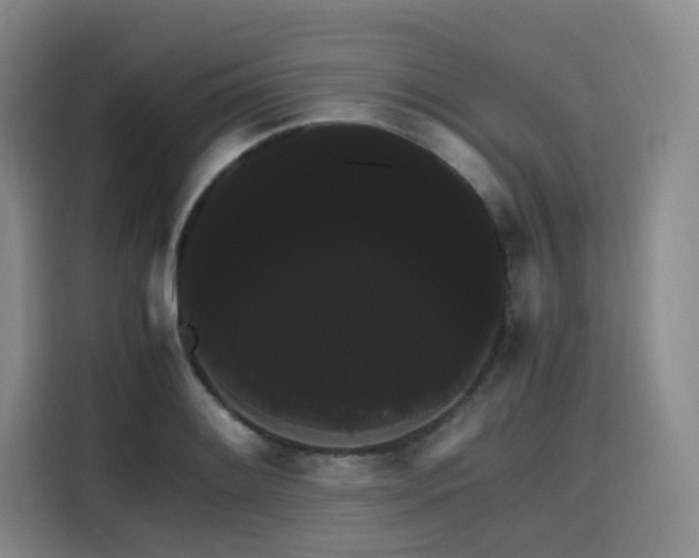 X0000116121084200911231210