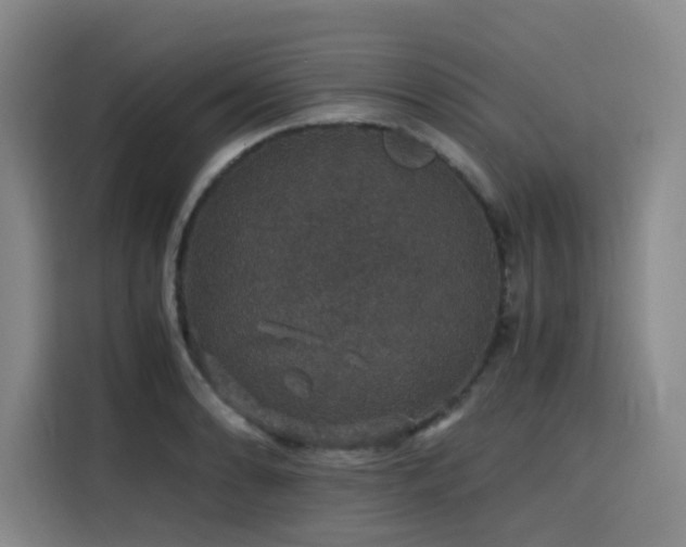 X0000116121086200911231210