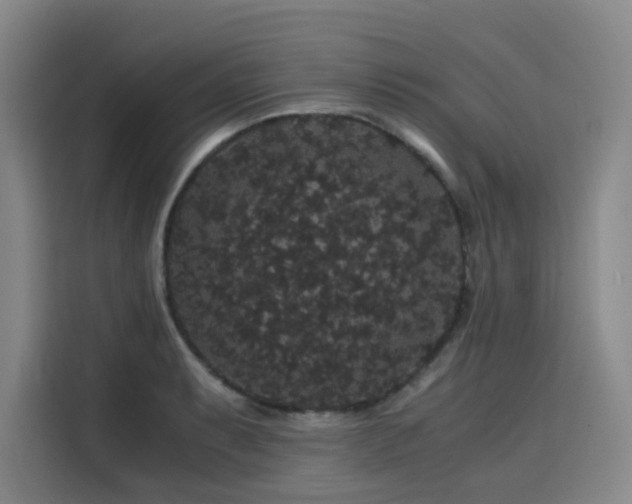 X0000116121087200911231210