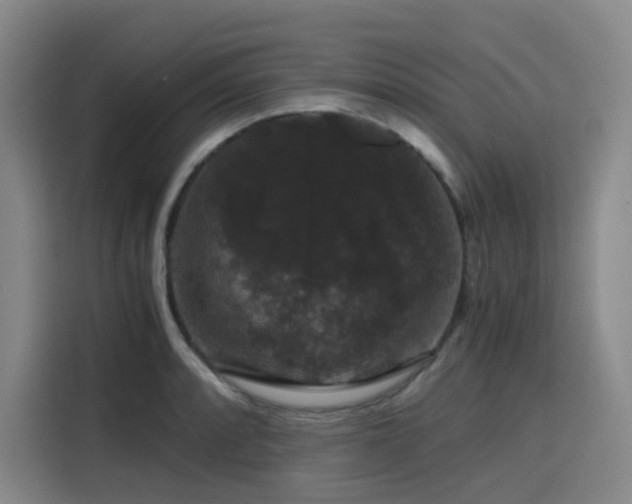 X0000116121088200911231210