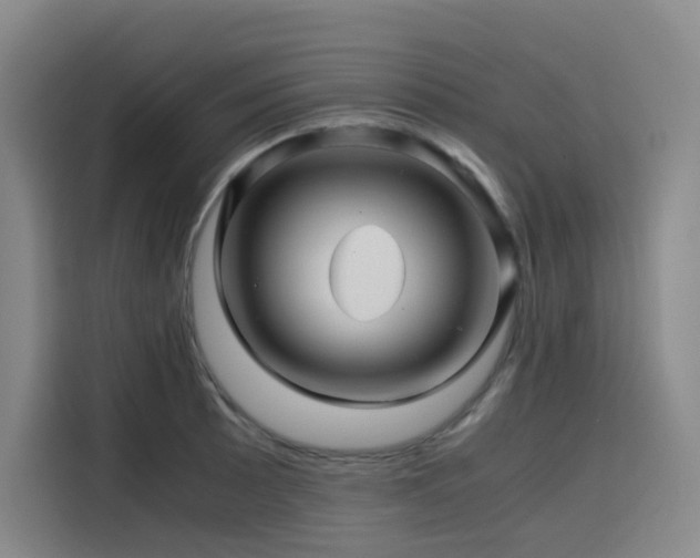 X0000116121089200911231210