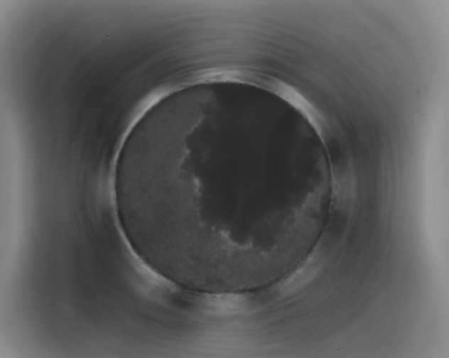 X0000116121090200911231210