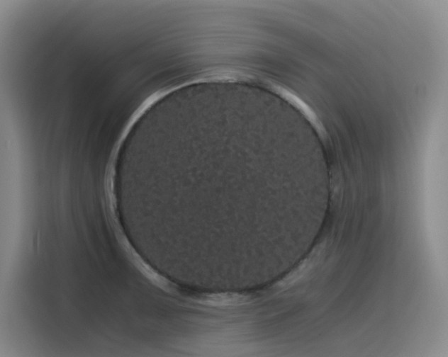 X0000116121091200911231210