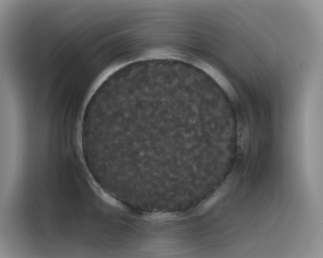 X0000116121094200911231210