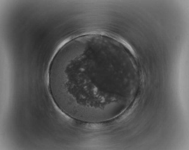 X0000116121095200911231210