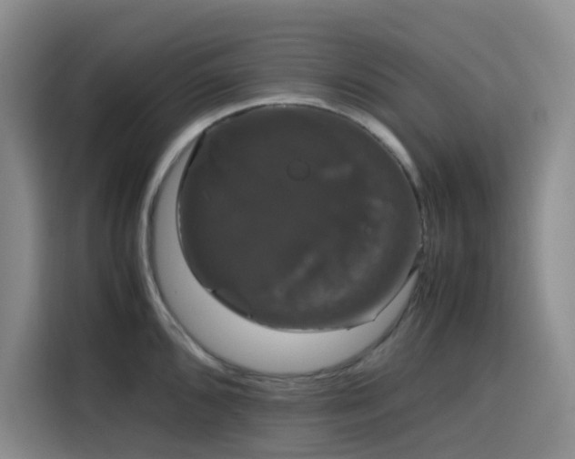 X0000116121096200911231210