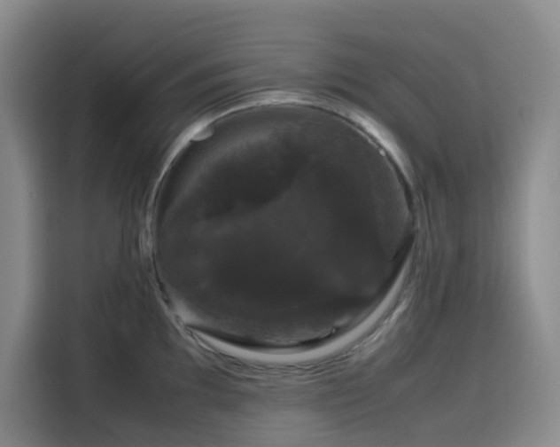 X0000116121097200911231210