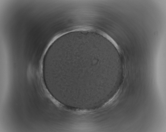 X0000116121099200911231210