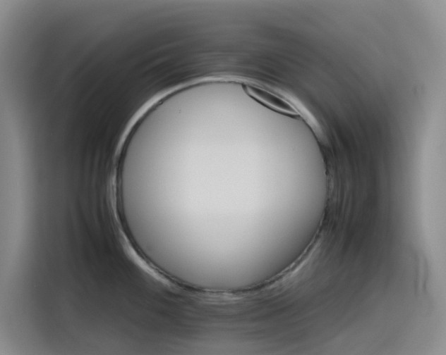 X0000116121100200911231210