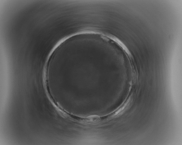 X0000116121101200911231210