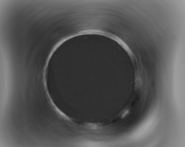 X0000116121102200911231210