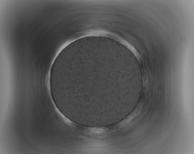 X0000116121103200911231210