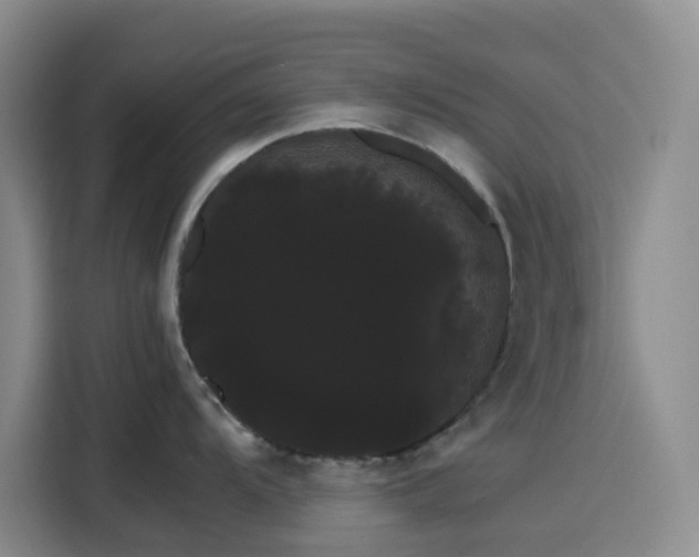 X0000116121104200911231210