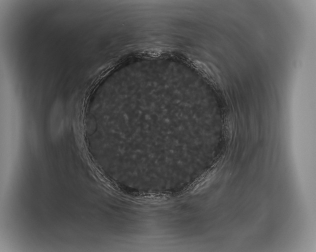 X0000116121105200911231209