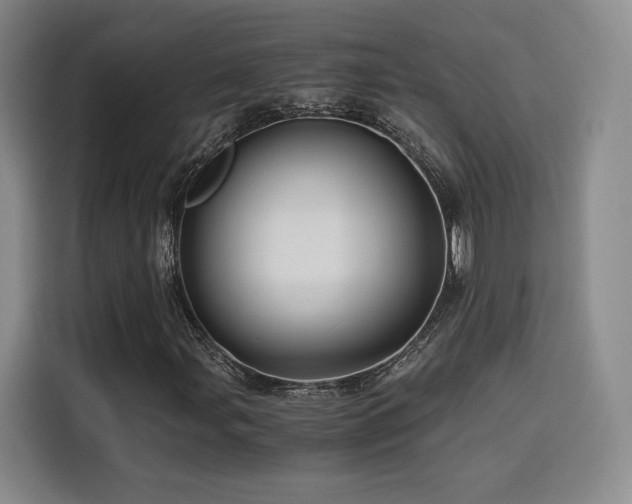 X0000116121107200911231209