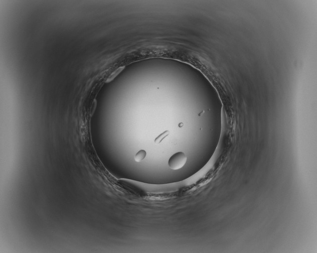 X0000116121109200911231209