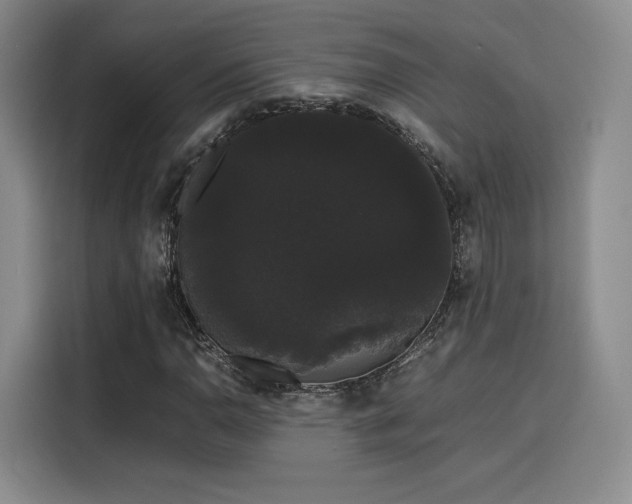 X0000116121110200911231209