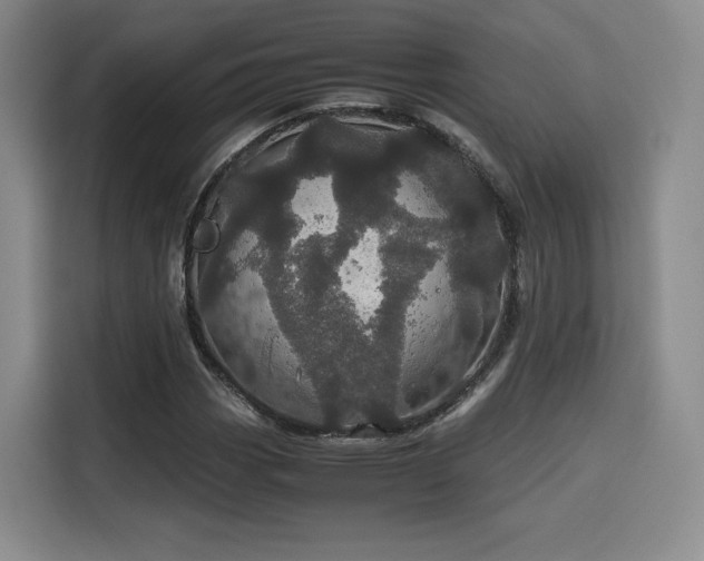 X0000116121113200911231209