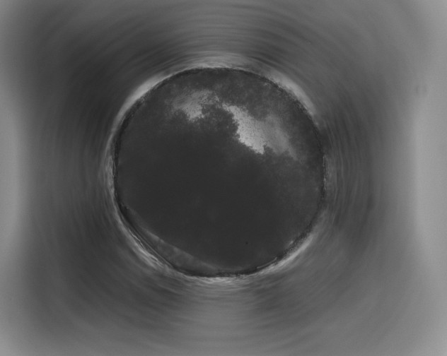 X0000116121114200911231209