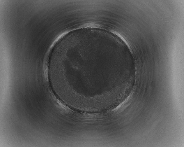 X0000116121115200911231209