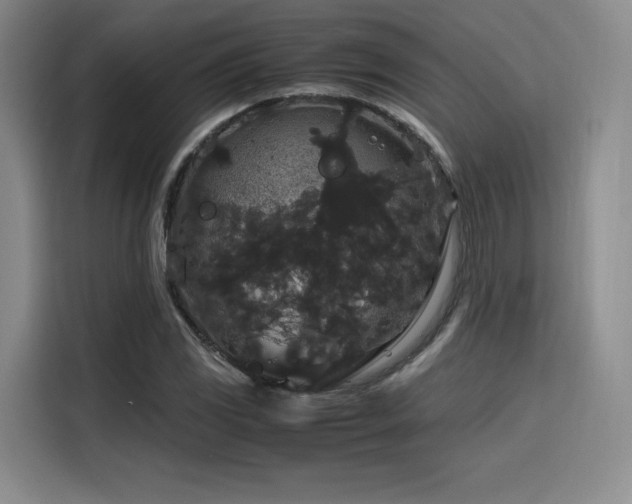 X0000116121117200911231209