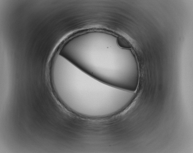 X0000116121118200911231209