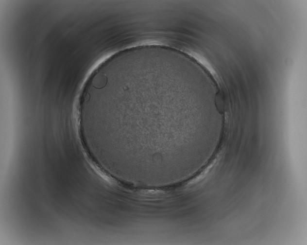 X0000116121119200911231209