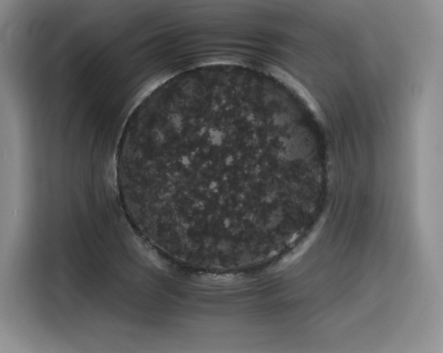 X0000116121121200911231209